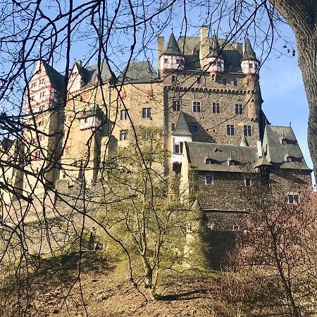 Apartment Lieserpfad-Wittlich Bagian luar foto